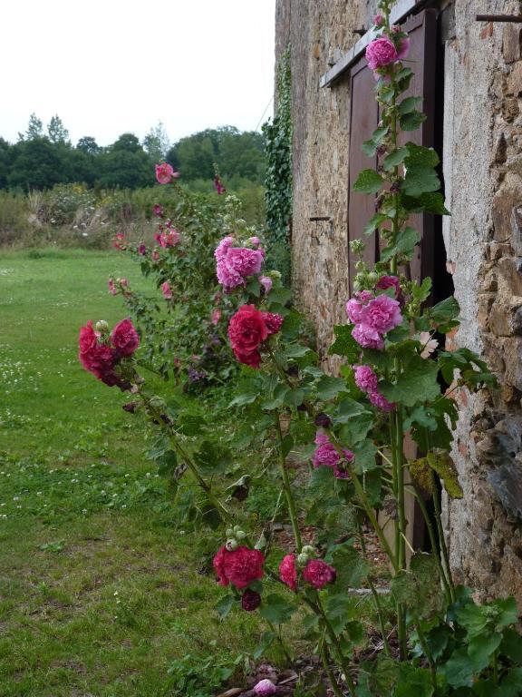 Chambres D'Hotes Le Chateau Rouge Saint-Germain-sur-Moine Exterior foto
